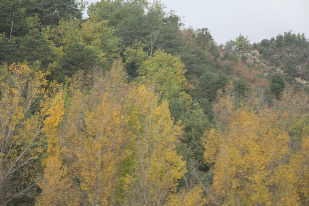 Foto de Teruel (Aragón), España