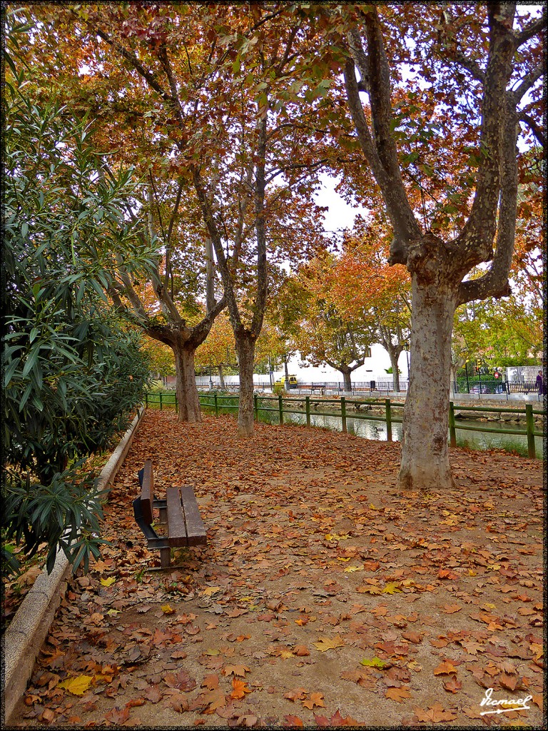 Foto: 151116-20 ZARAGOZA CANAL - Zaragoza (Aragón), España
