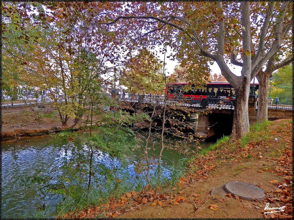 Foto: 151116-32 ZARAGOZA CANAL - Zaragoza (Aragón), España