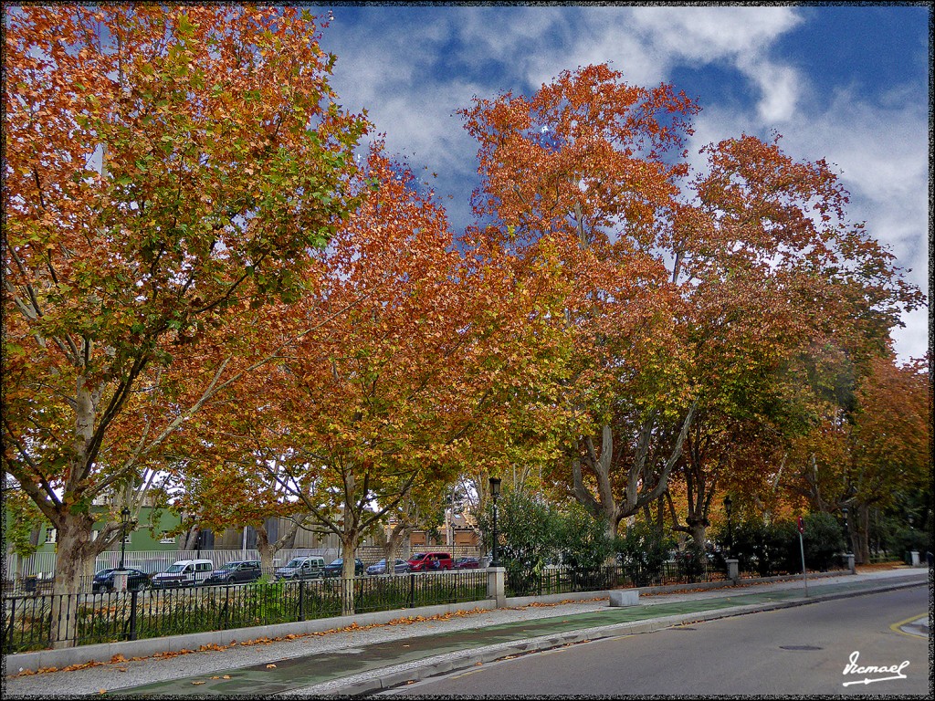 Foto: 151116-29 ZARAGOZA CANAL - Zaragoza (Aragón), España