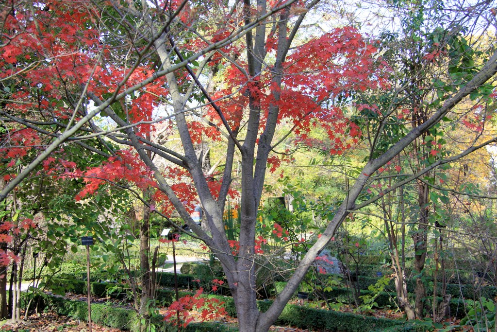 Foto de Madrid (Comunidad de Madrid), España