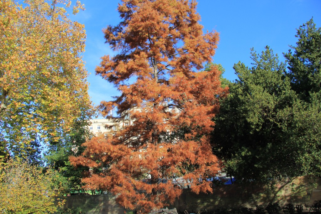 Foto de Madrid (Comunidad de Madrid), España
