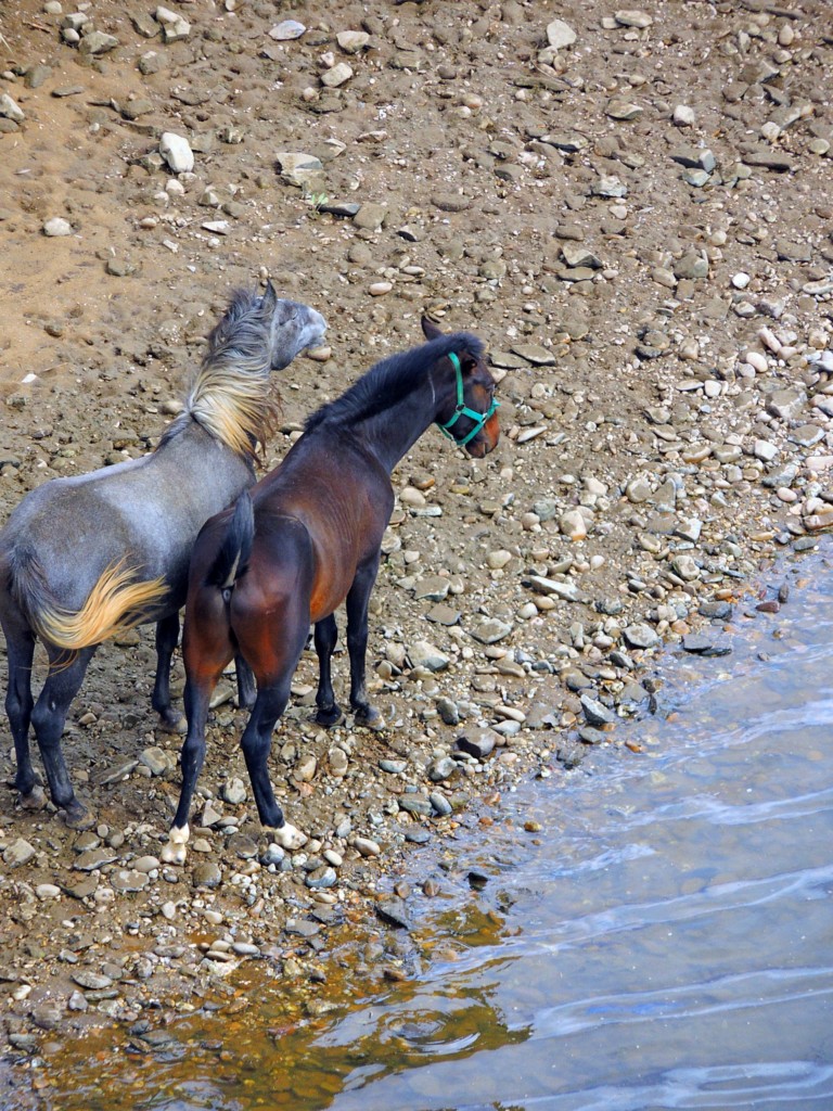 Foto de Mértola (Beja), Portugal