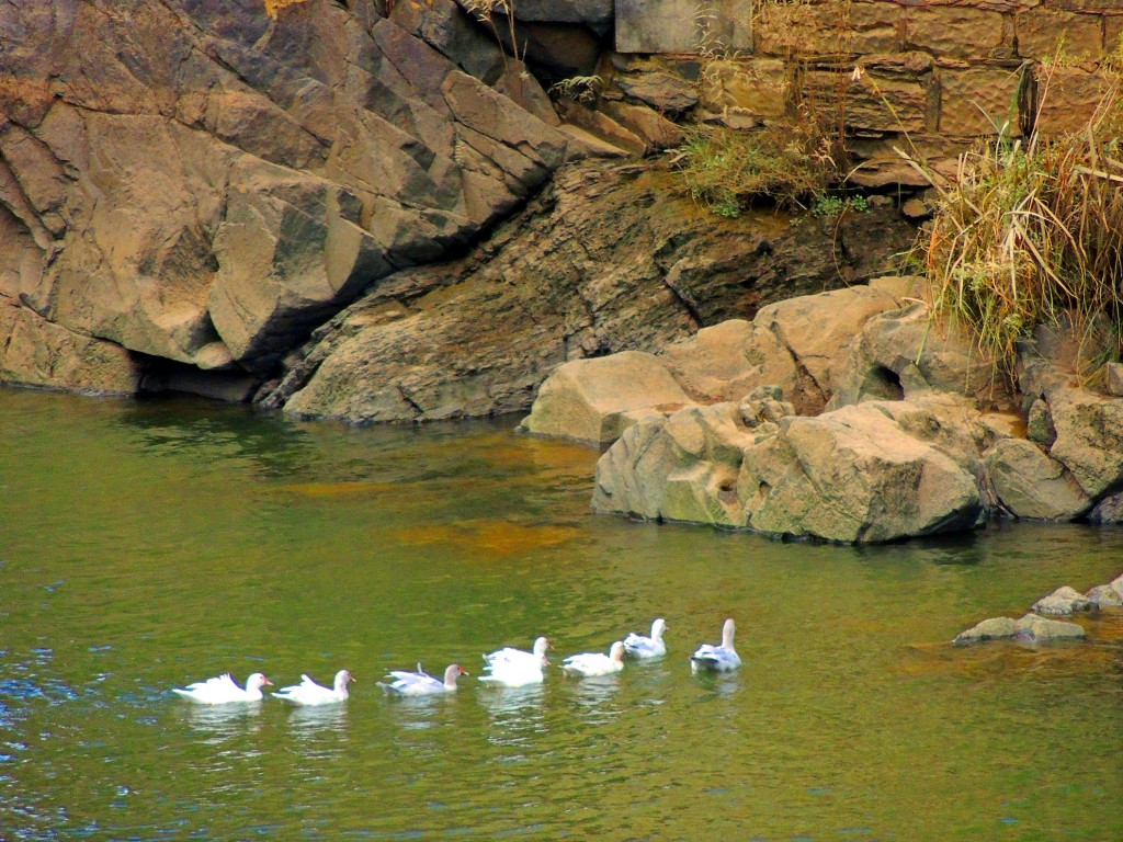 Foto de Mértola (Beja), Portugal