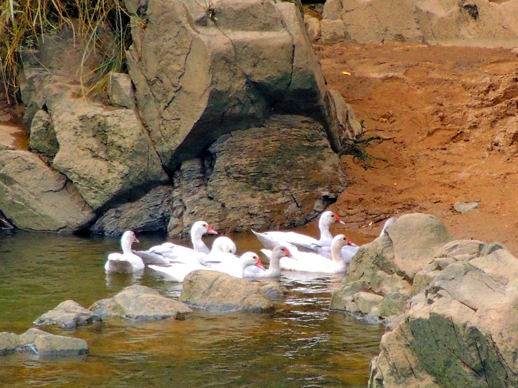 Foto de Mértola (Beja), Portugal