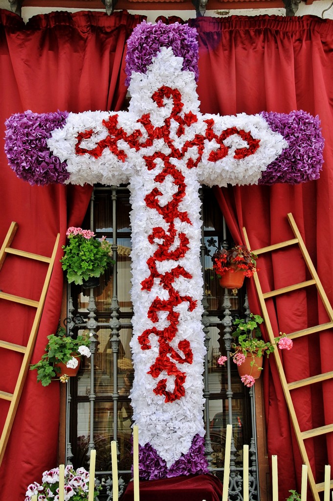 Foto: Cruces de Mayo - Montoro (Córdoba), España