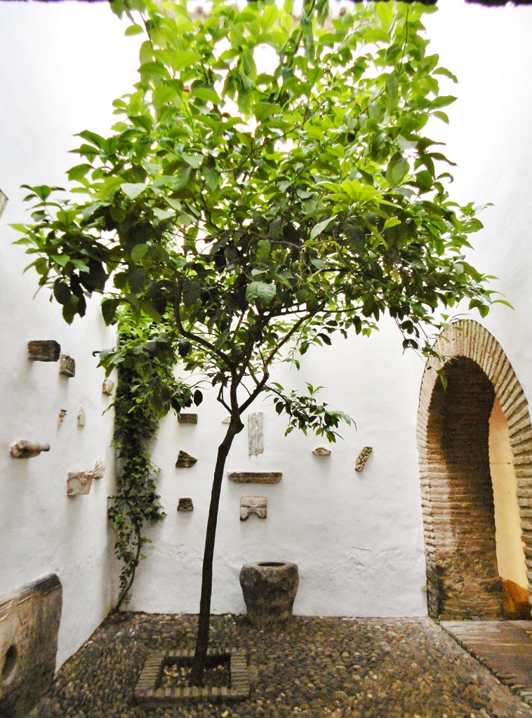 Foto: Alcazar de los reyes Cristianos - Córdoba (Andalucía), España