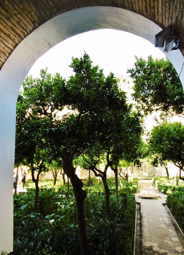 Foto de Córdoba (Andalucía), España