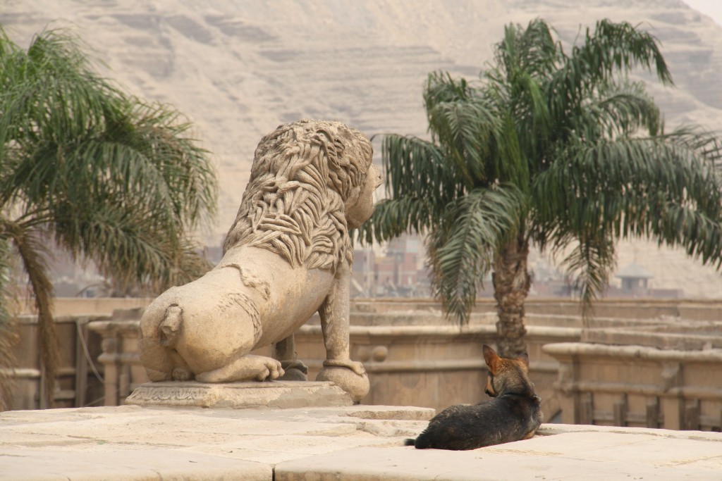 Foto: Imitando al Rey - El Cairo, Egipto