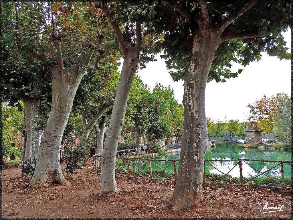 Foto: 151020-37 Termas Pallares - Alhama De Aragon (Zaragoza), España