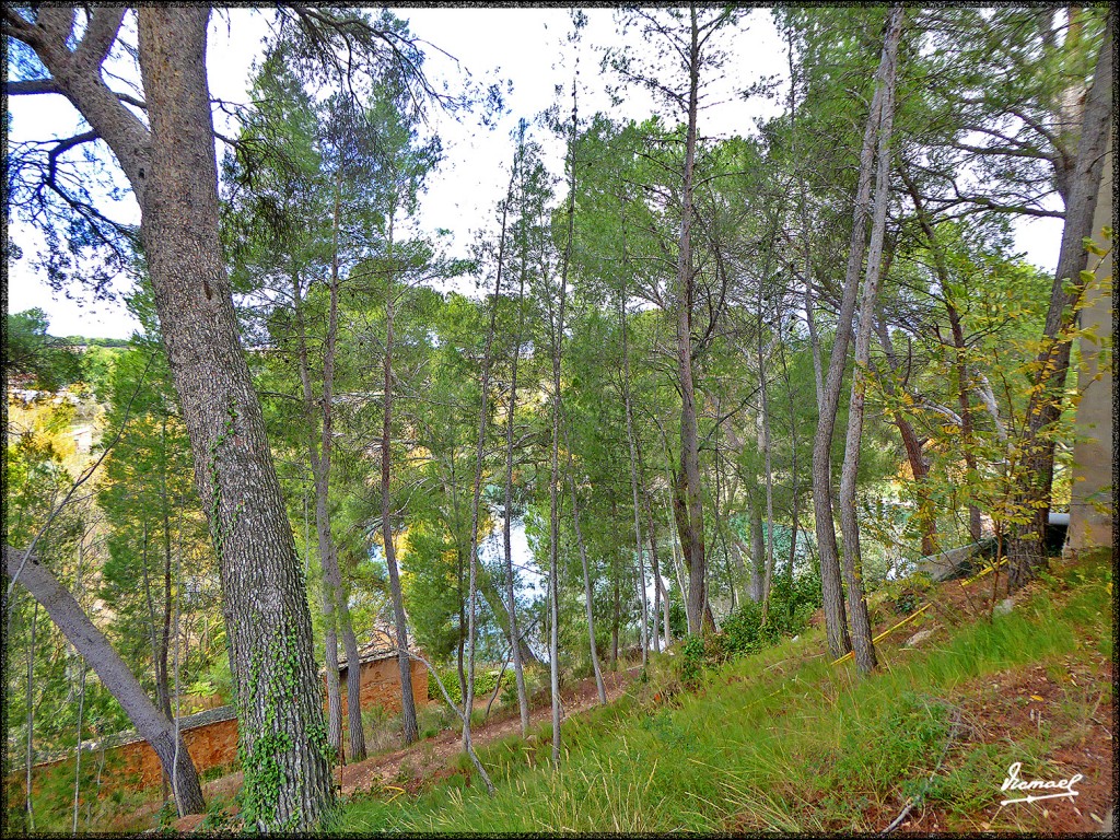 Foto: 151028-24 Termas Pallares - Alhama De Aragon (Zaragoza), España