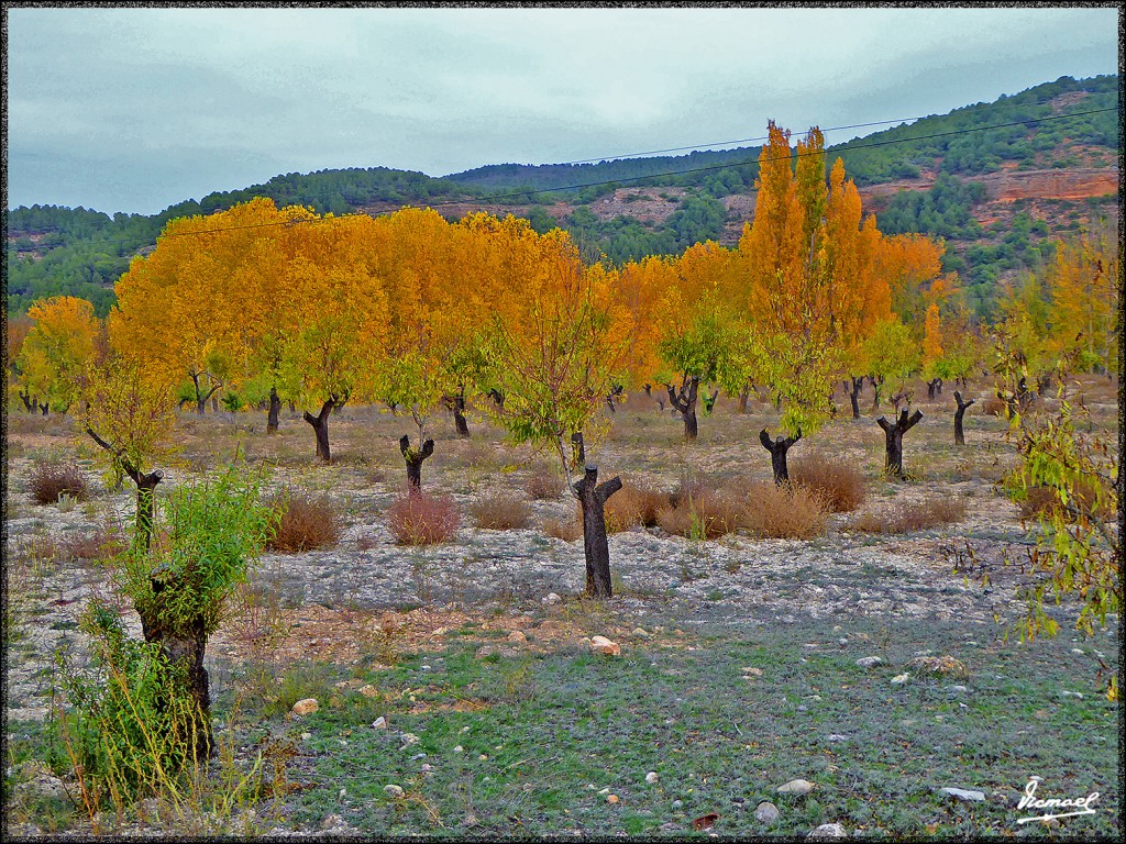 Foto: 151025-07 JARABA - Jaraba (Zaragoza), España