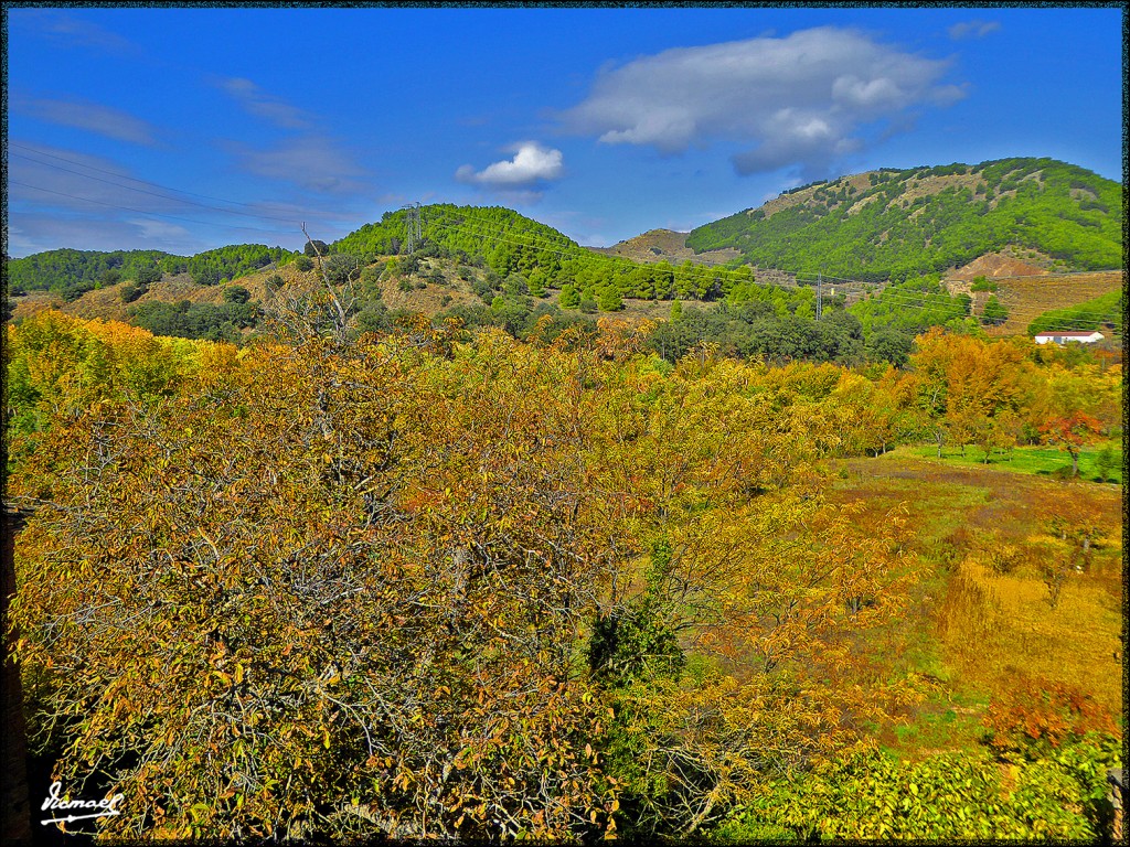 Foto: 151025-11 JARABA - Jaraba (Zaragoza), España