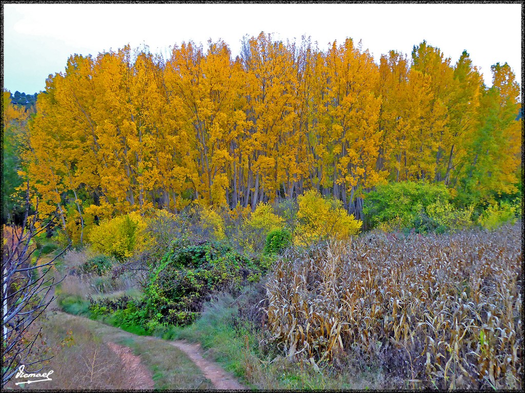 Foto: 151025-08 JARABA - Jaraba (Zaragoza), España