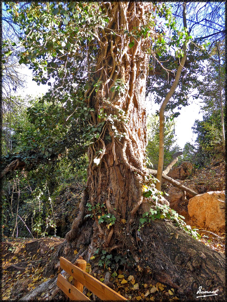 Foto: 151027-09 IBDES - Ibdes (Zaragoza), España