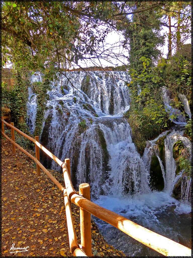 Foto: 151027-06 IBDES - Ibdes (Zaragoza), España