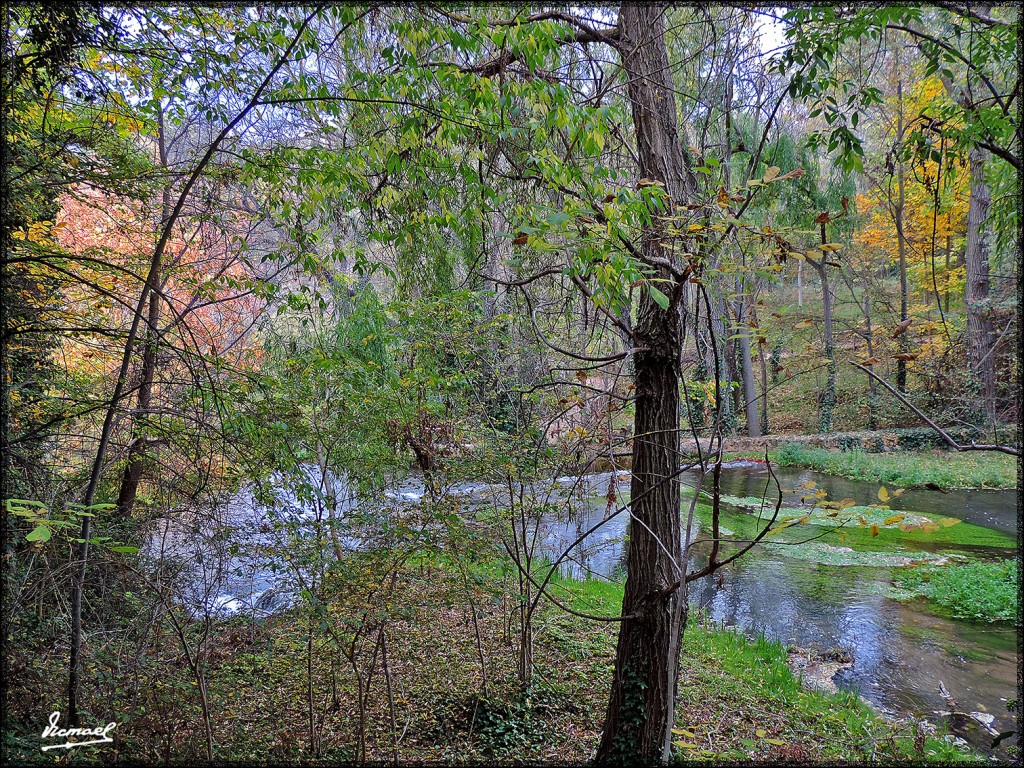 Foto: 151026-051 MONASTERIO PIEDRA - Nuevalos (Zaragoza), España