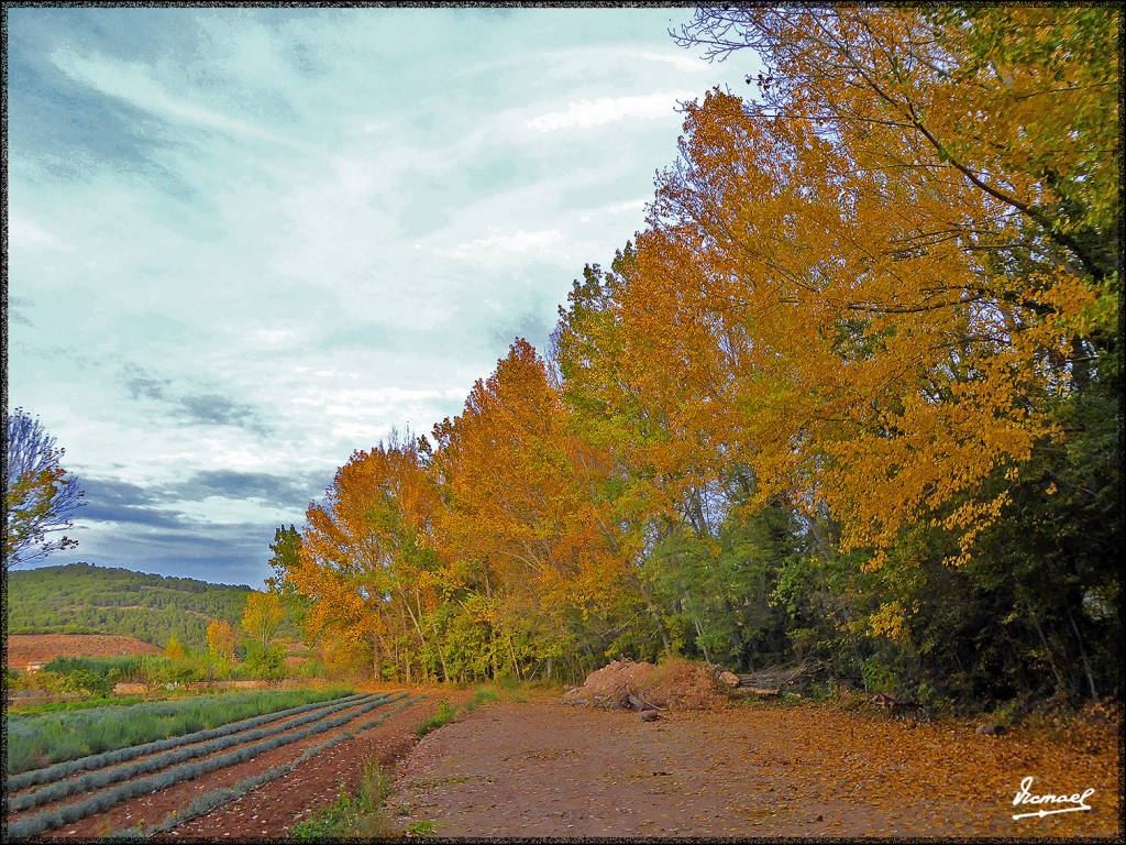 Foto: 151025-02 JARABA - Jaraba (Zaragoza), España