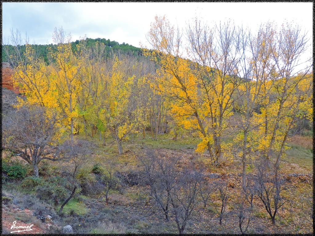 Foto: 151027-13 IBDES - Ibdes (Zaragoza), España