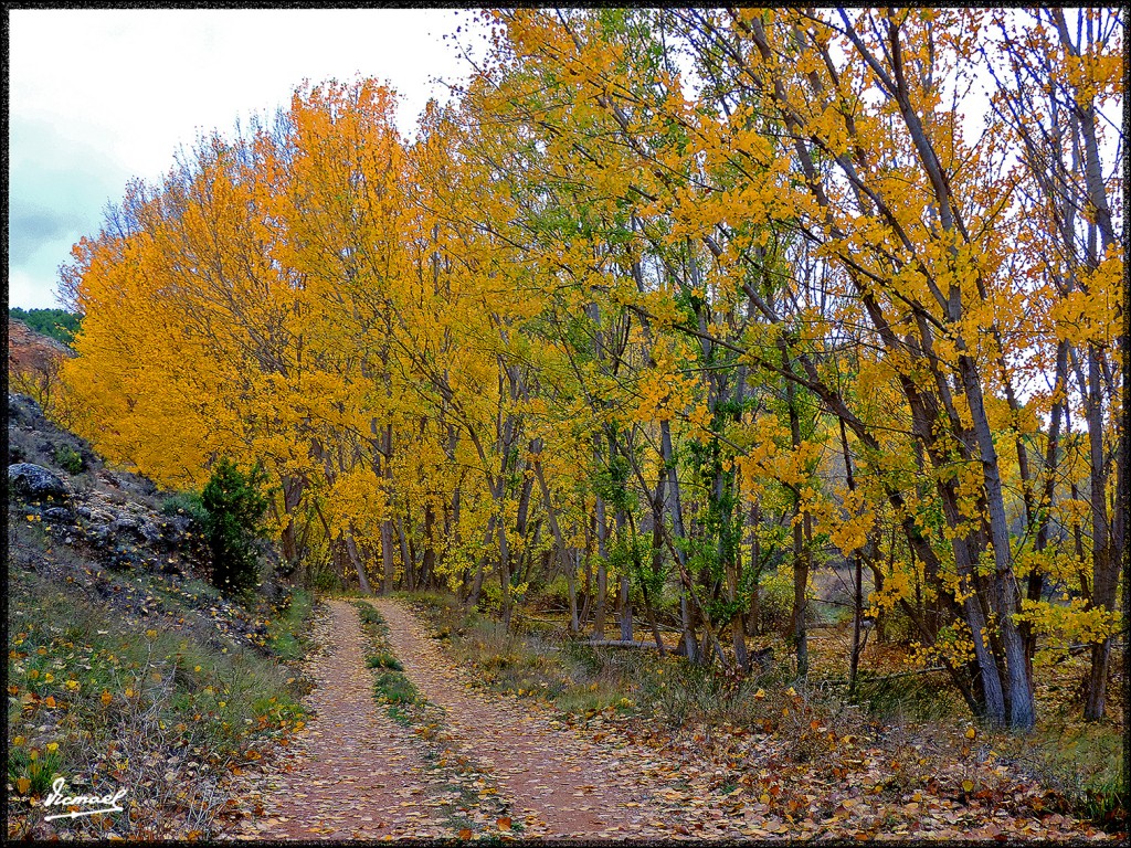 Foto: 151027-14 IBDES - Ibdes (Zaragoza), España