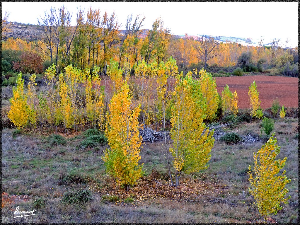 Foto: 151027-12 IBDES - Ibdes (Zaragoza), España