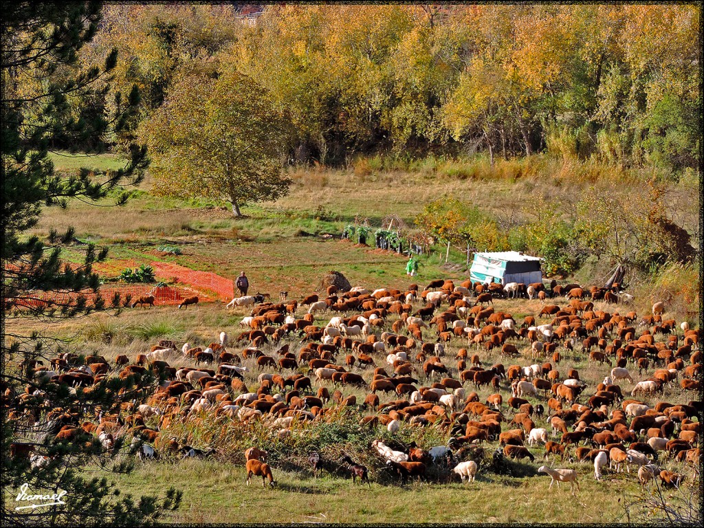 Foto: 151027-25 IBDES - Ibdes (Zaragoza), España