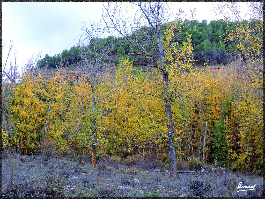 Foto: 151027-17 IBDES - Ibdes (Zaragoza), España