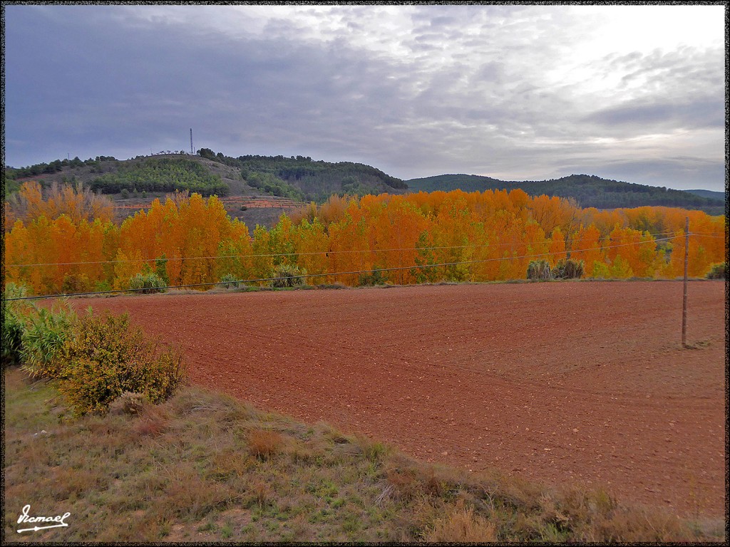 Foto: 151025-10 JARABA - Jaraba (Zaragoza), España