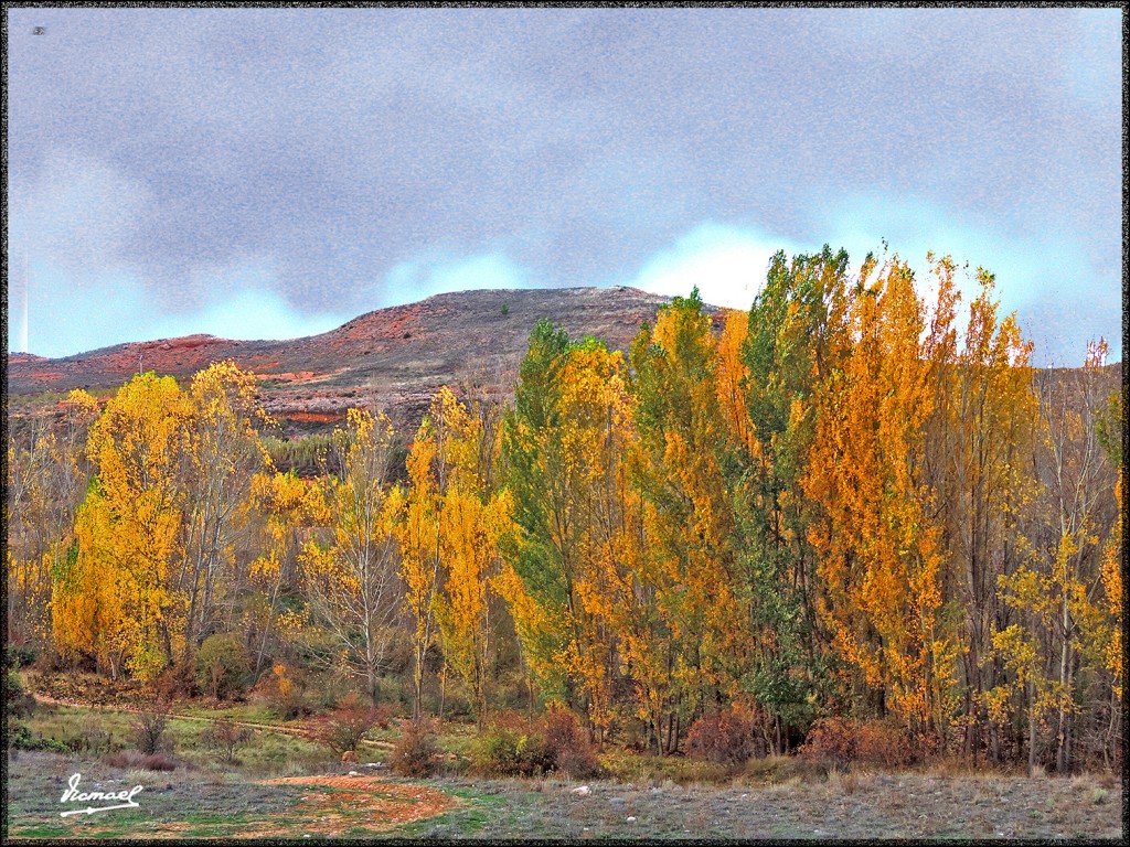 Foto: 151027-19 IBDES - Ibdes (Zaragoza), España