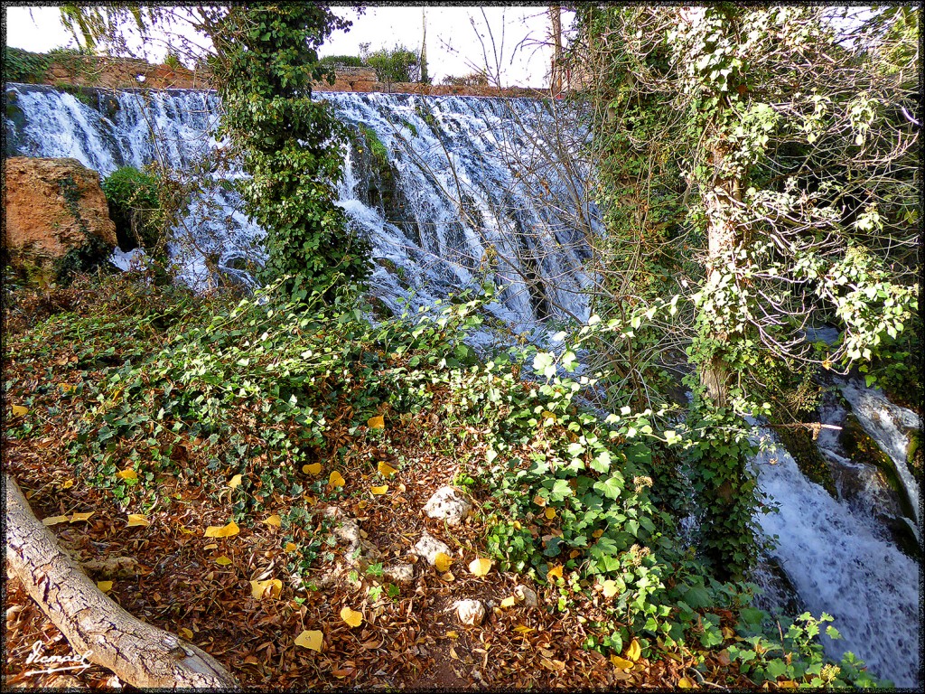 Foto: 151027-05 IBDES - Ibdes (Zaragoza), España