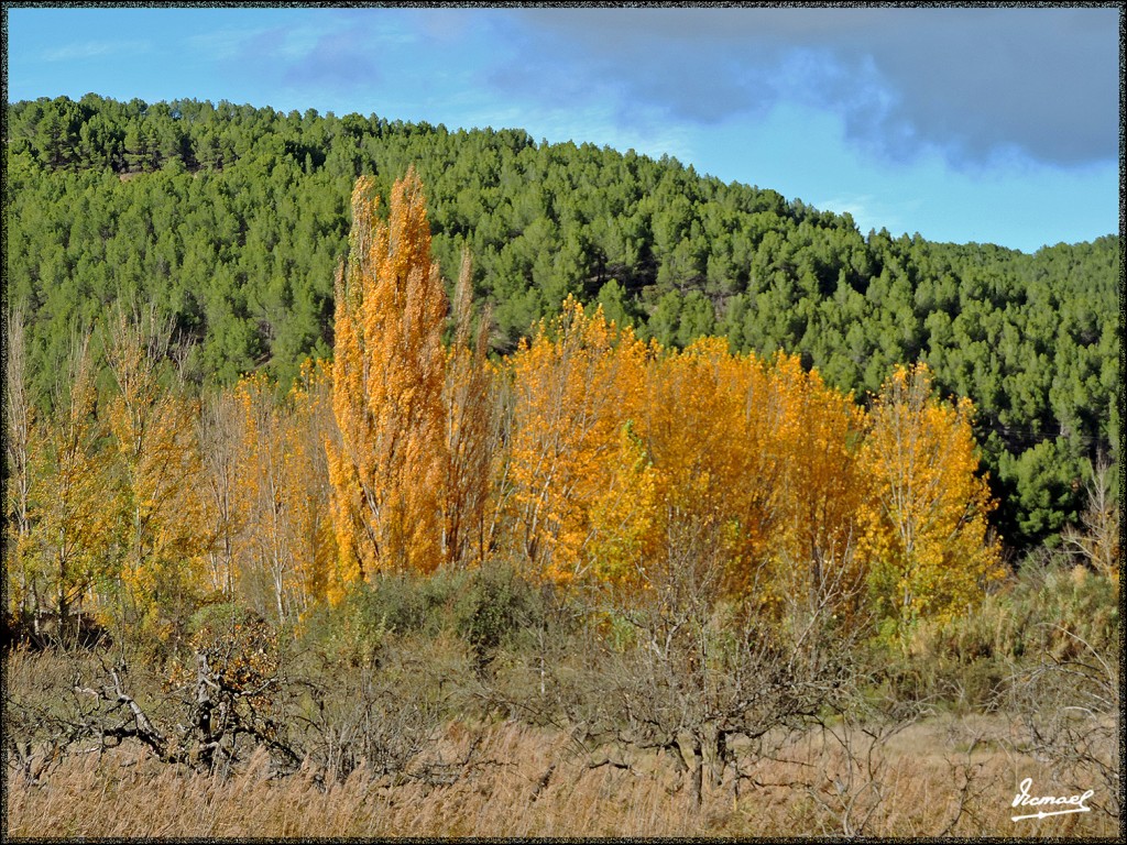 Foto: 151027-21 IBDES - Ibdes (Zaragoza), España
