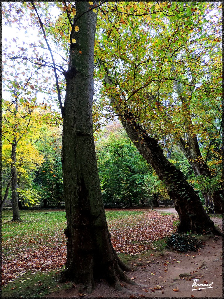 Foto: 151026-114 MONASTERIO PIEDRA - Nuevalos (Zaragoza), España