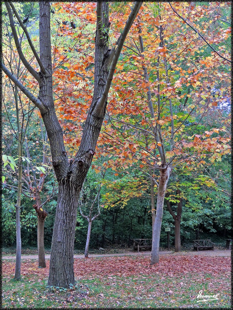 Foto: 151026-099 MONASTERIO PIEDRA - Nuevalos (Zaragoza), España
