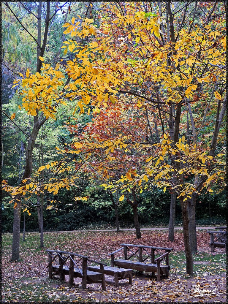 Foto: 151026-102 MONASTERIO PIEDRA - Nuevalos (Zaragoza), España