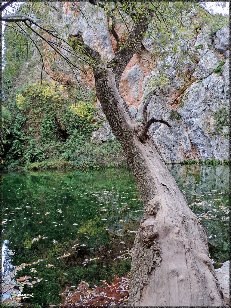 Foto: 151026-083 MONASTERIO PIEDRA - Nuevalos (Zaragoza), España