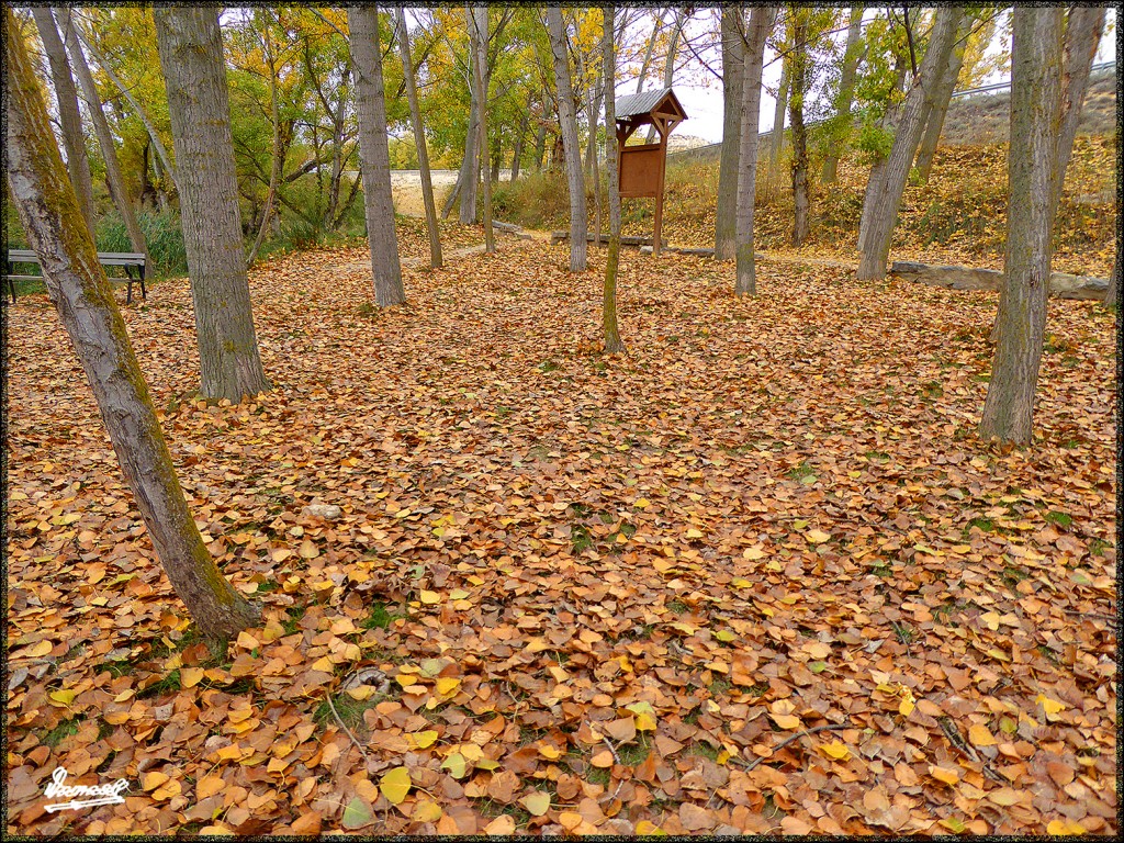 Foto: 151031-27 ARCOS DE JALON - Arcos De Jalon (Soria), España