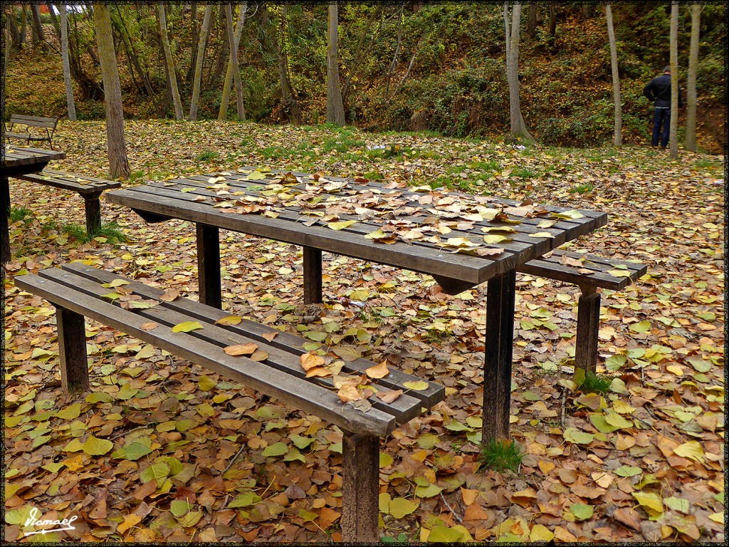 Foto: 151031-24 ARCOS DE JALON - Arcos De Jalon (Soria), España