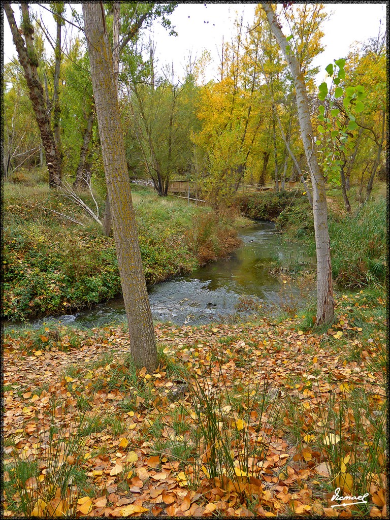 Foto: 151031-29 ARCOS DE JALON - Arcos De Jalon (Soria), España