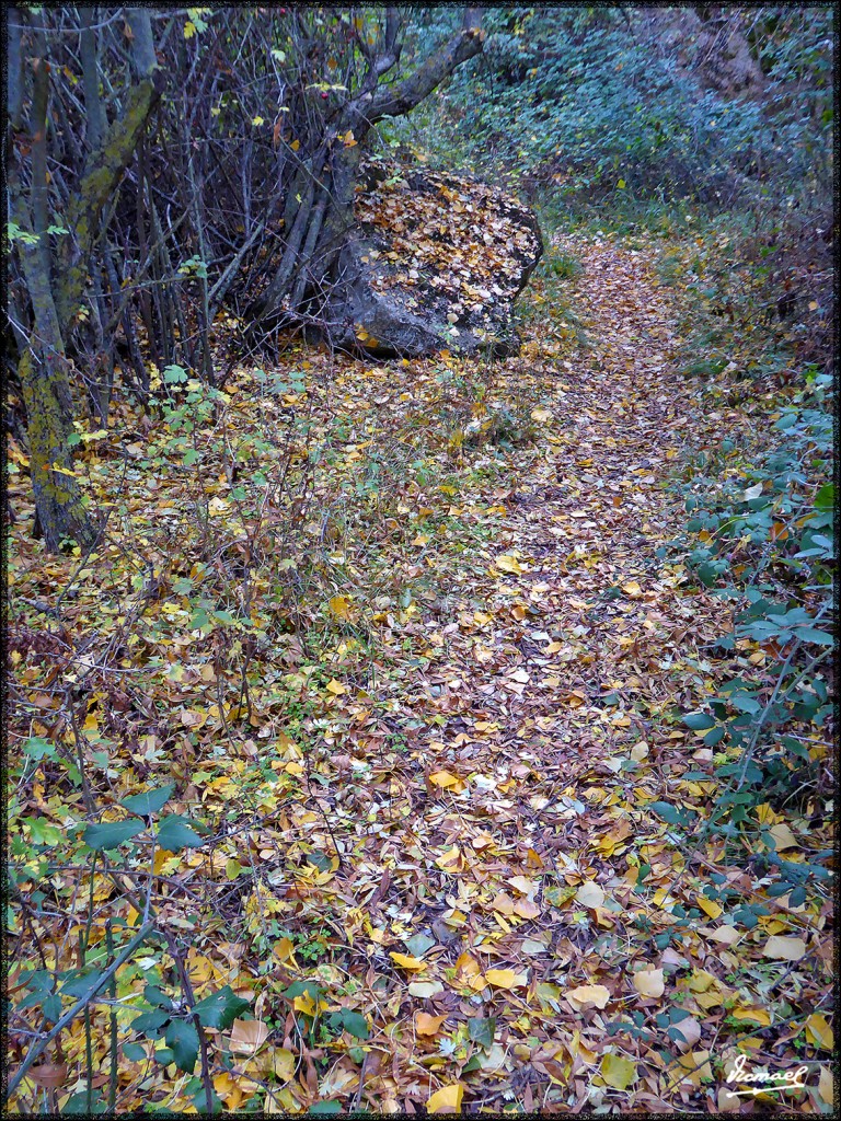 Foto: 151031-77 SOMAEN - Somaen (Soria), España