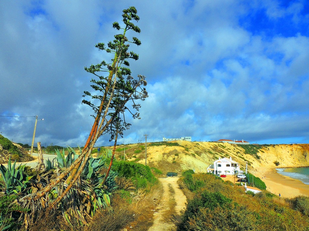 Foto de Sagres (Faro), Portugal