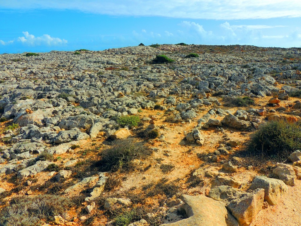 Foto de Sagres (Faro), Portugal