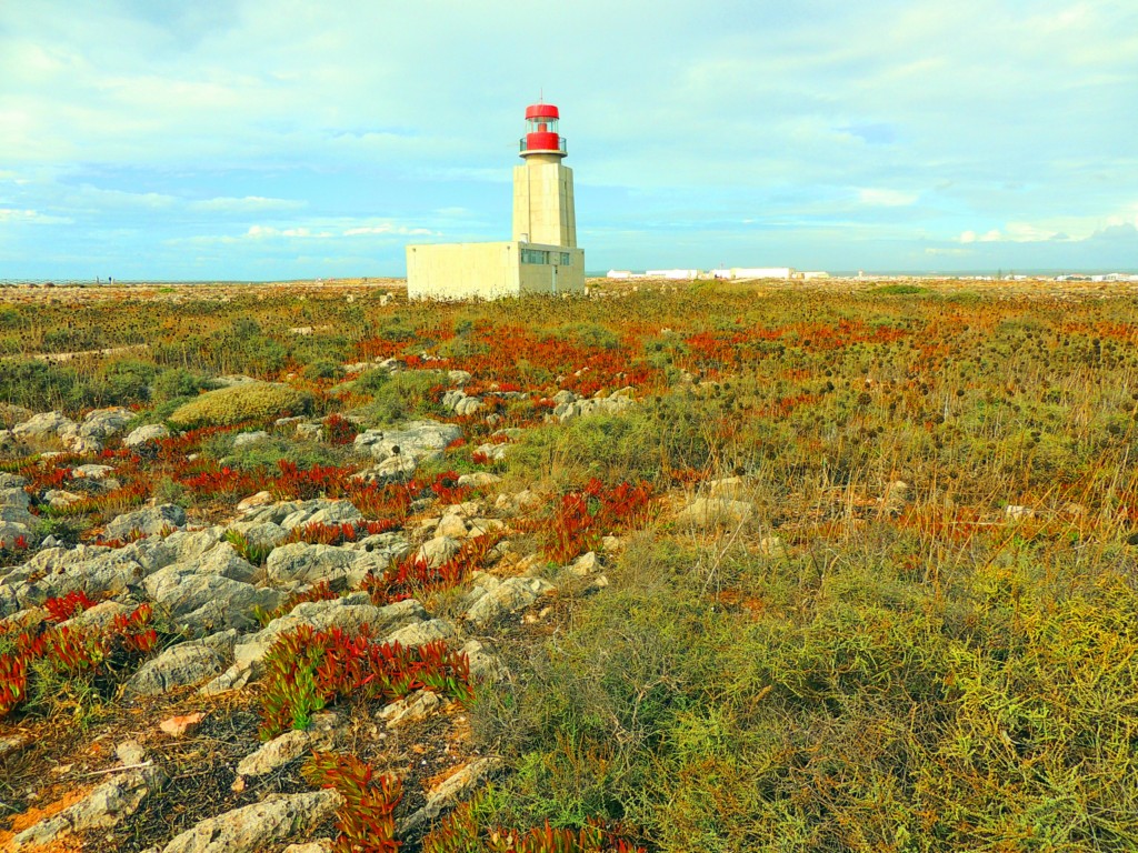 Foto de Sagres (Faro), Portugal