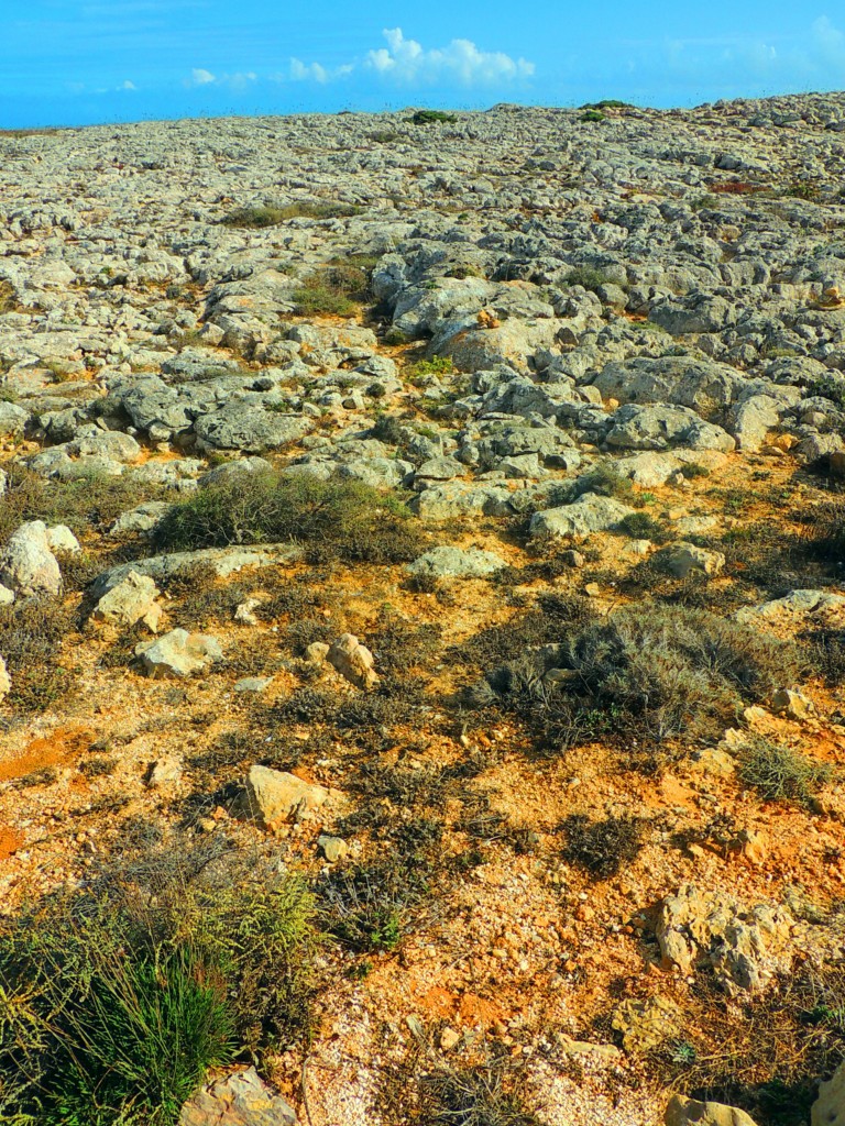 Foto de Sagres (Faro), Portugal