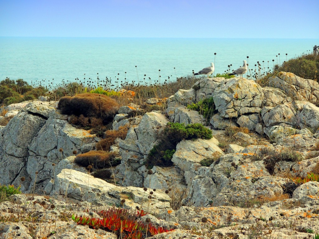Foto de Sagres (Faro), Portugal