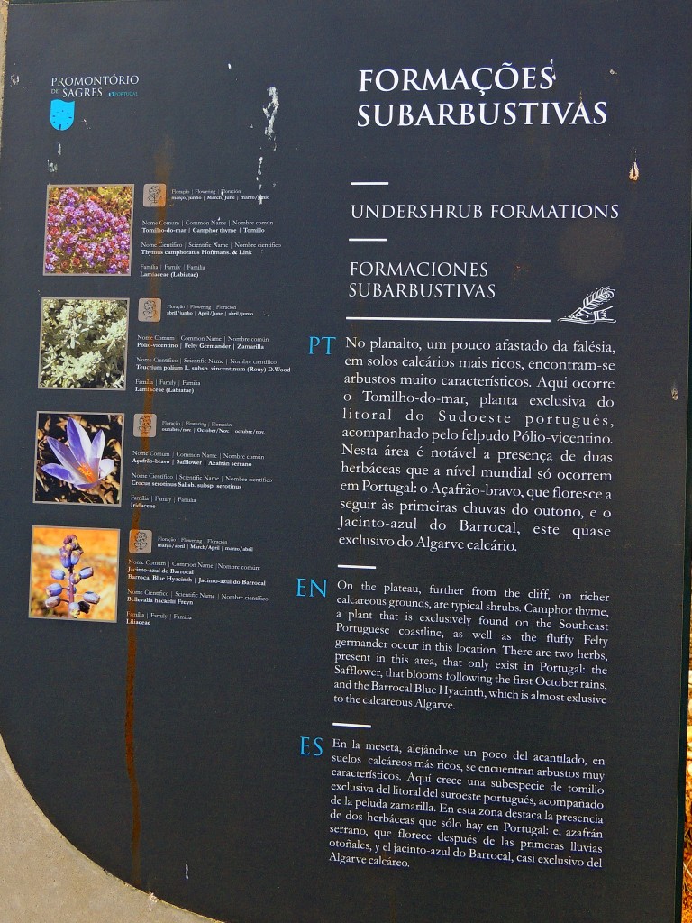 Foto de Sagres (Faro), Portugal