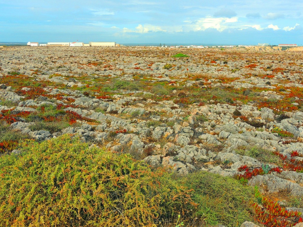 Foto de Sagres (Faro), Portugal