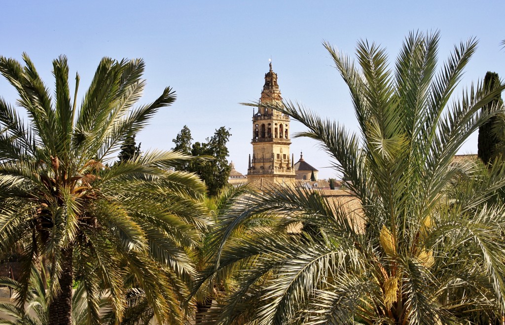 Foto: Vistas desde el alcazar de los reyes Cristianos - Córdoba (Andalucía), España
