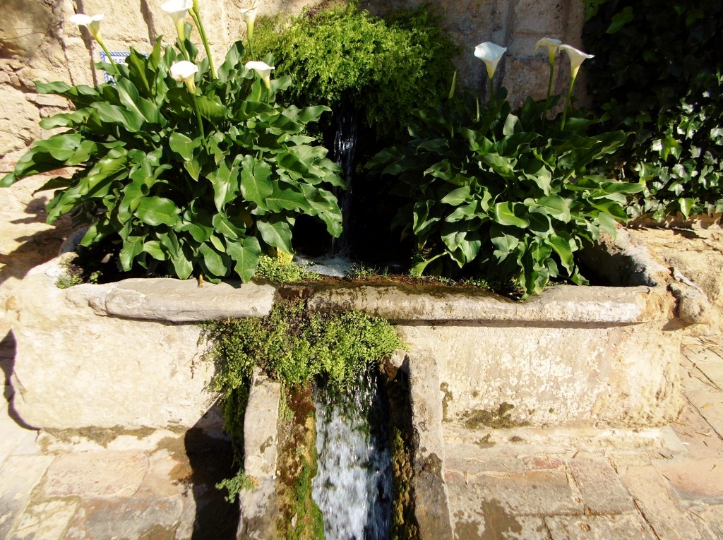 Foto: Jardines del alcazar de los reyes ristianos - Córdoba (Andalucía), España