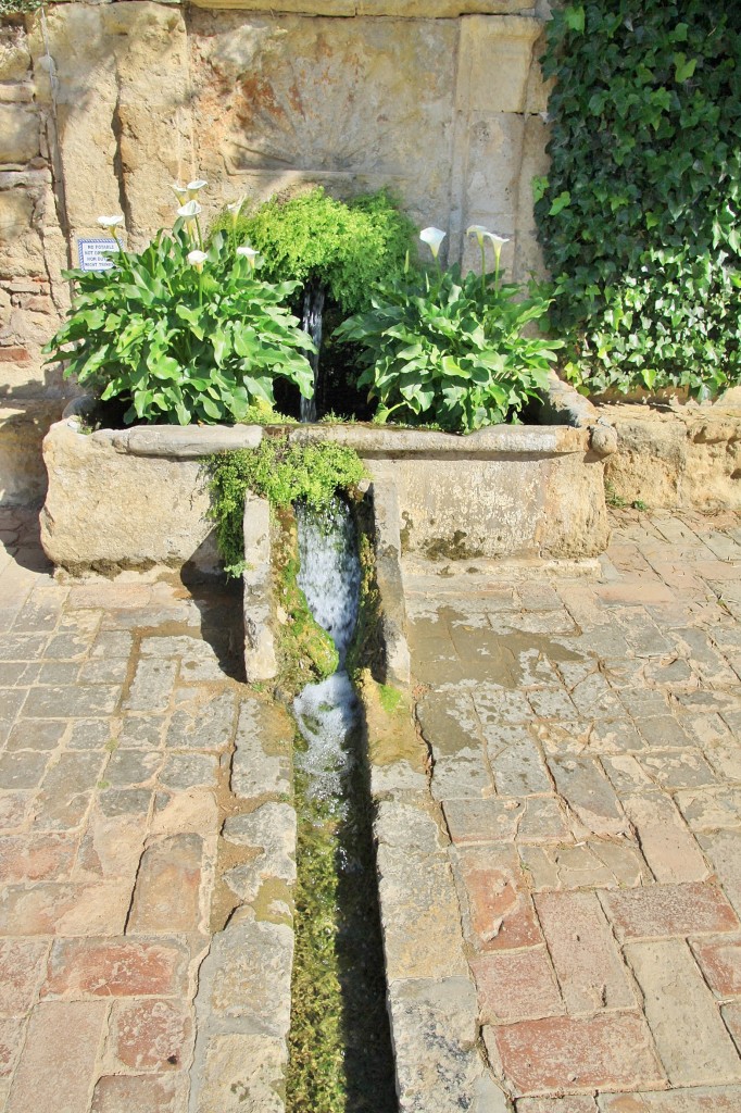 Foto: Jardines del alcazar de los reyes Cristianos - Córdoba (Andalucía), España