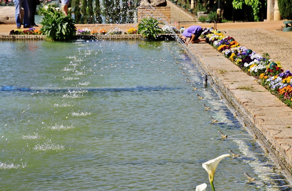 Foto: Jardines del alcazar de los reyes Cristianos - Córdoba (Andalucía), España